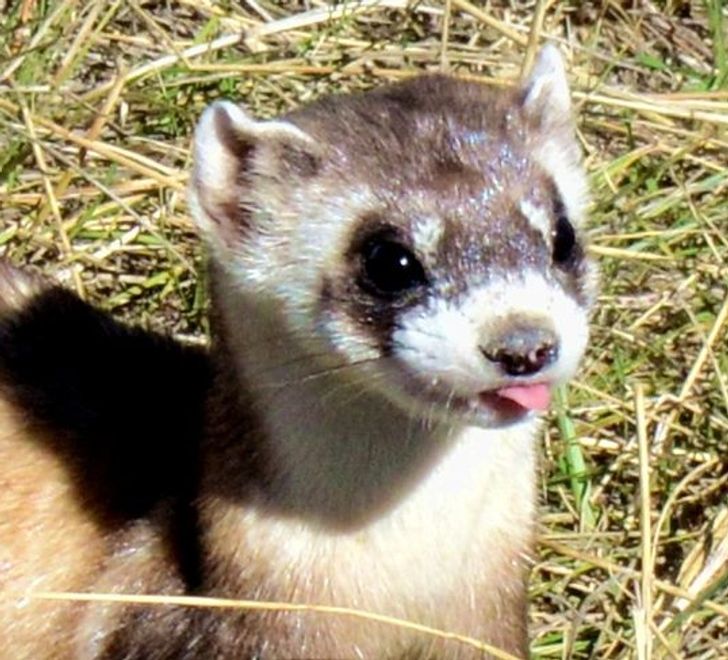 3ad3ab5185a983390932a993af