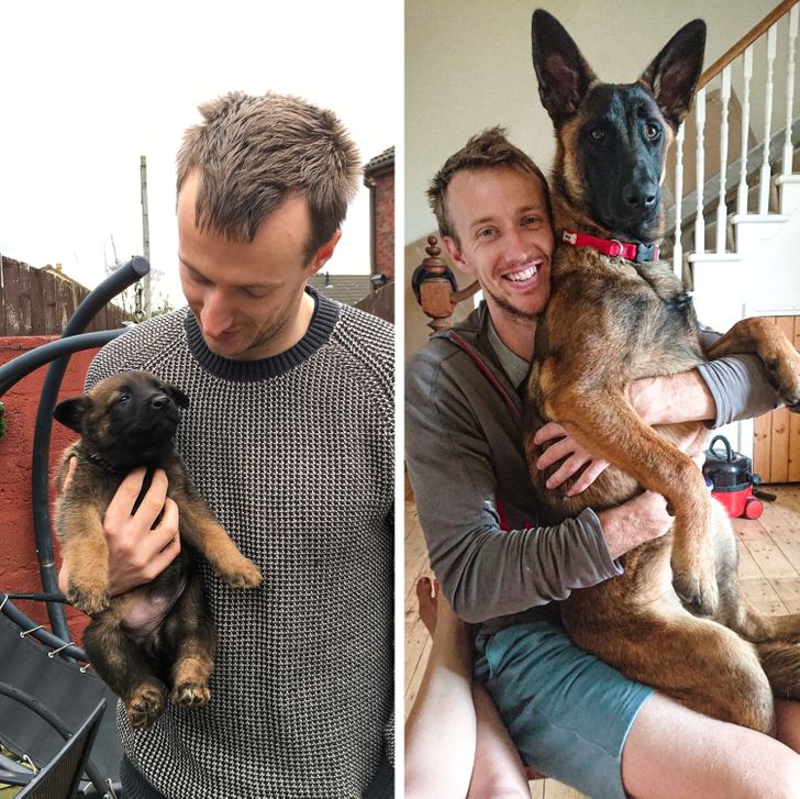 3add1e533982e12870f1379ce5