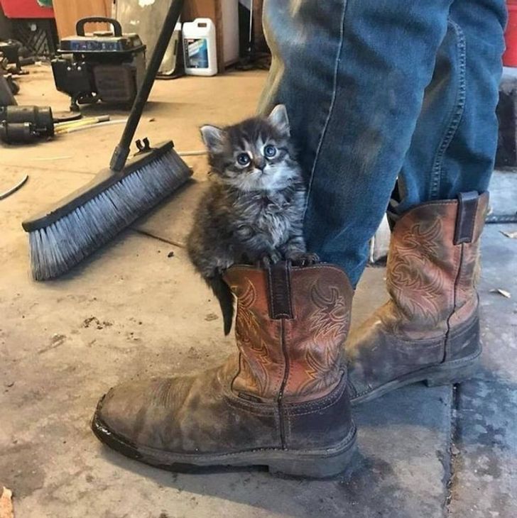 3ae0e45586ad2134ca8c2e3bb8