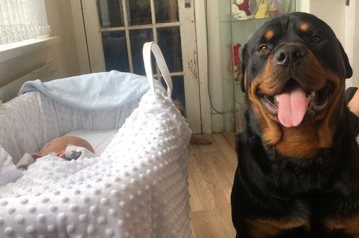 3ae5ba520cafb70f7bff407cbe