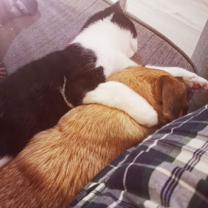 3aef6d5ebfa08be60d717d858e