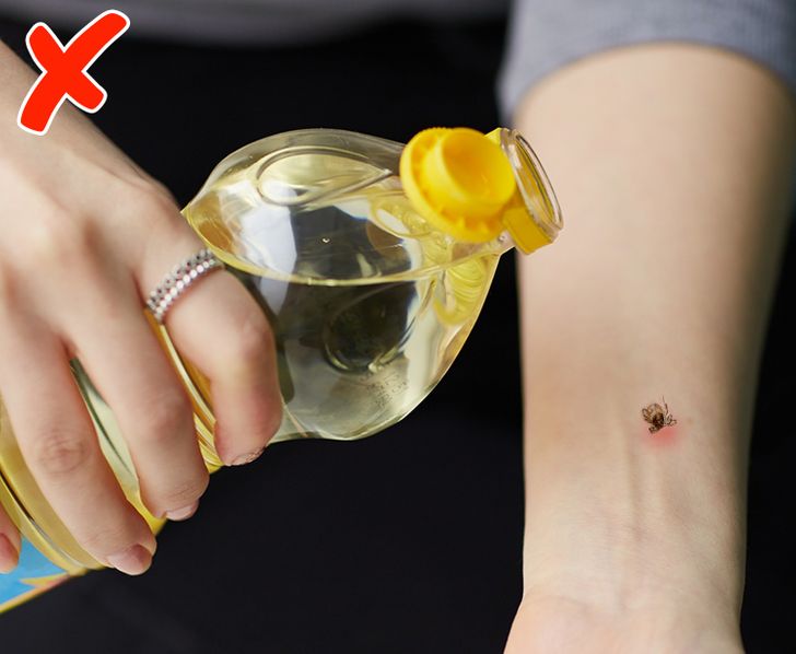 3af0f05e51af2fad2cbba0c6bc 3af0f05e51af2fad2cbba0c6bc