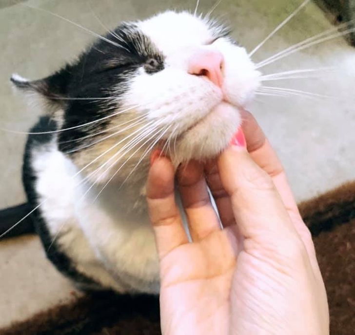 3af41157499ed4d2173325f558