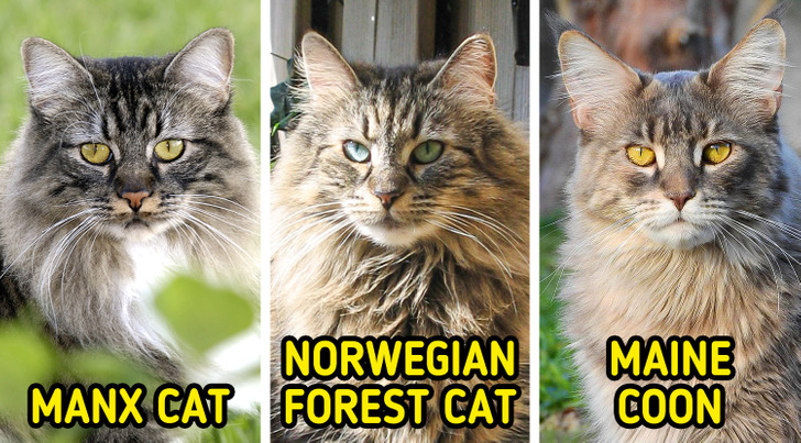 3af92e5f599e8bce396de24fc8