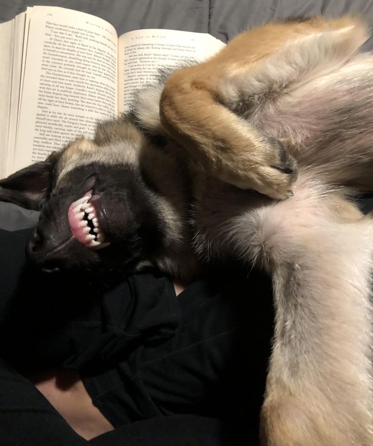 3b001d55678a5a2caa0161f9e0