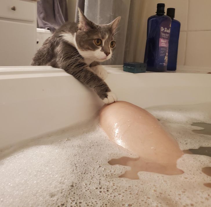 3b01b25ca3817863f6e412c334