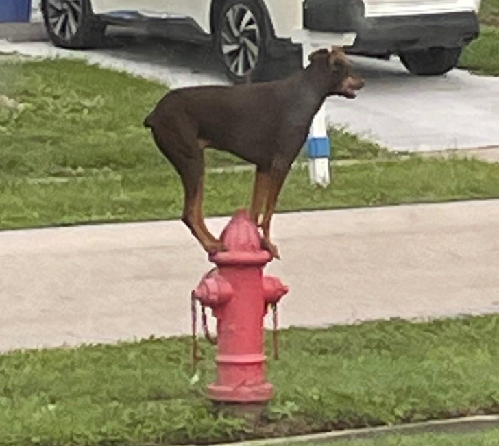 3b05275e3a80554d2e868f9ee1