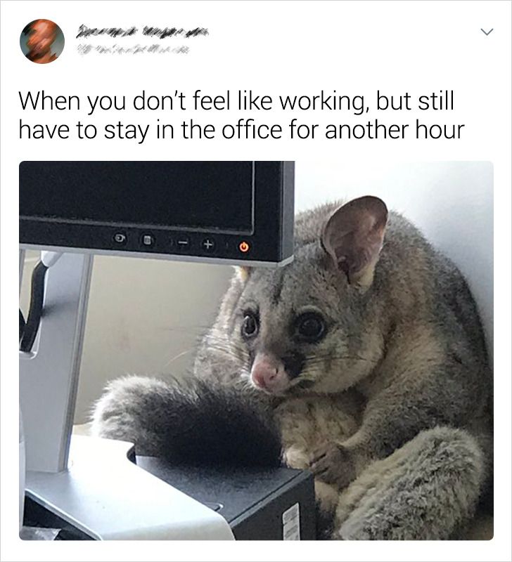 3b0ff951aa8d38785feb0dbdd2