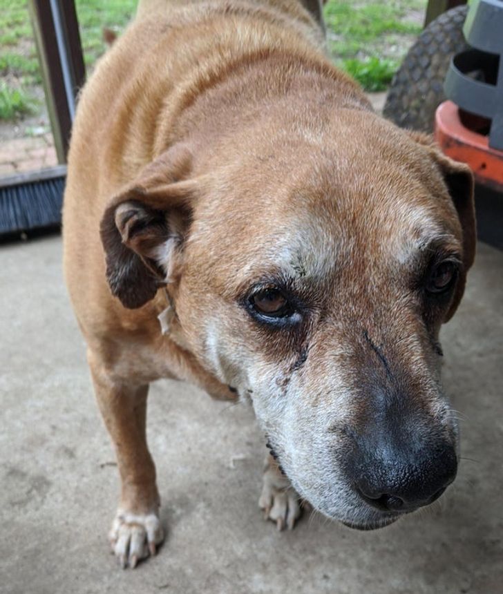 3b13a05a19a0fe412e3c2e4057