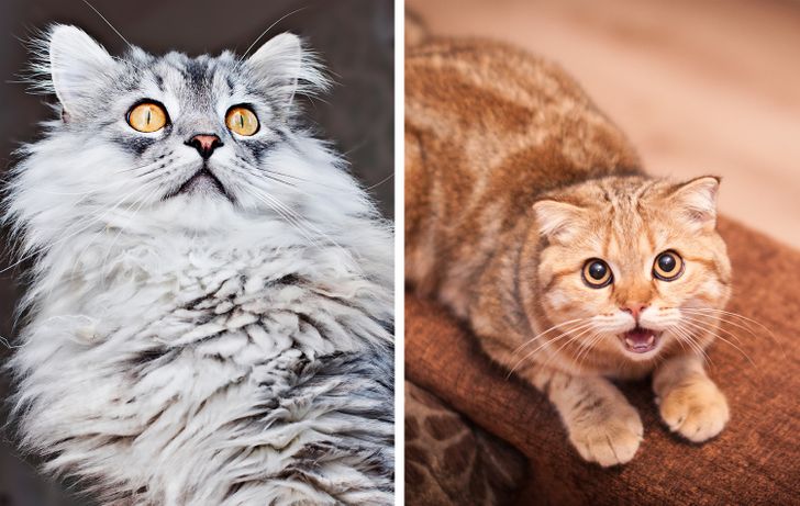 3b13c5574cac470886c4f2f109