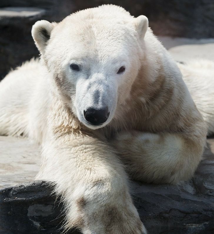 3b17a75ba8b82bc7fe6d070ac6