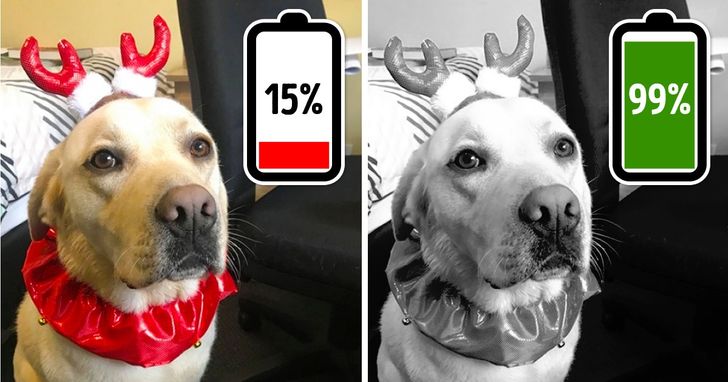 3b18c85ff881ca724ad2e65f34