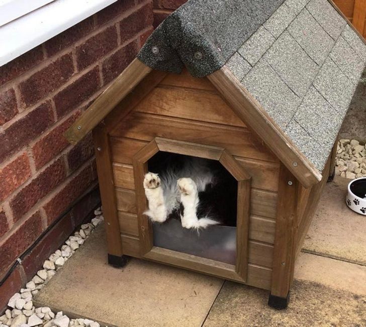 3b1b3252158664bc4c7b1b11ca