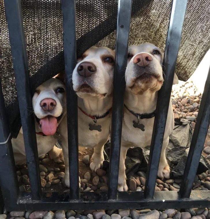 3b1c8851f28b4e703dfb9f39c8