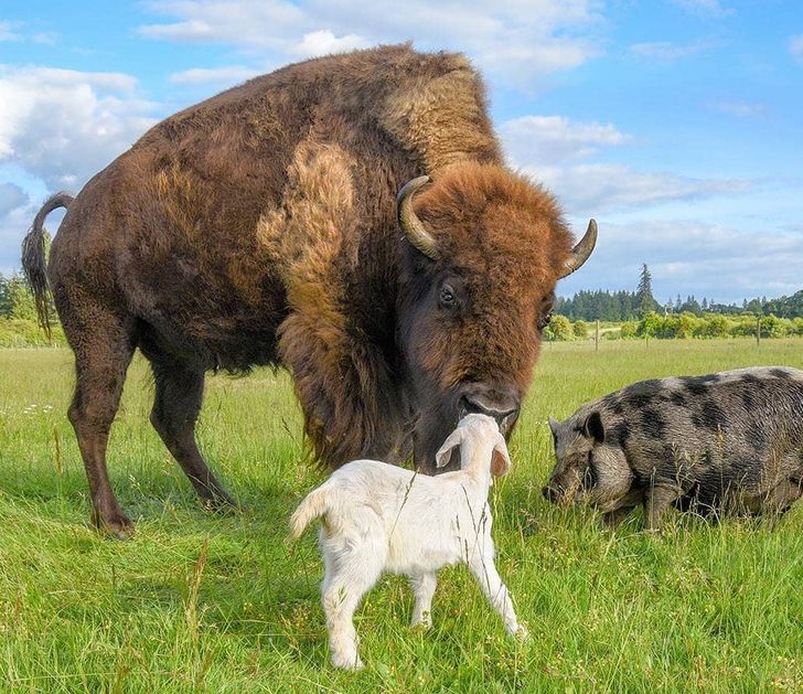 3b1fb45be9ae97a02b6b9ff748