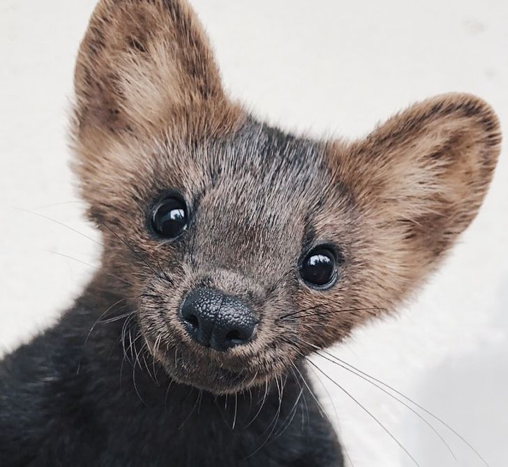 3b23035aba9cb71a9466d28792