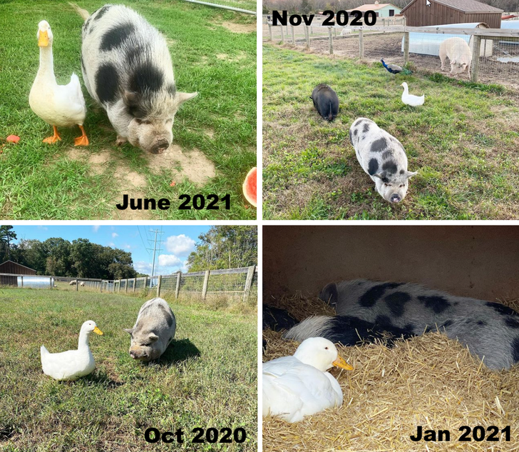 3b28985dec891aec3d0991d3e2 3b28985dec891aec3d0991d3e2