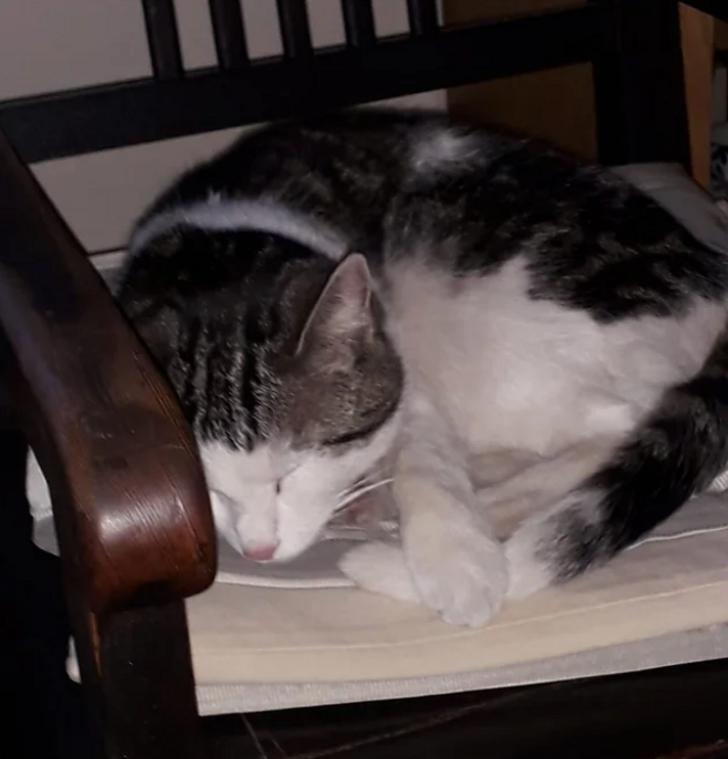 3b31d35ada9b9b532d33c86a43