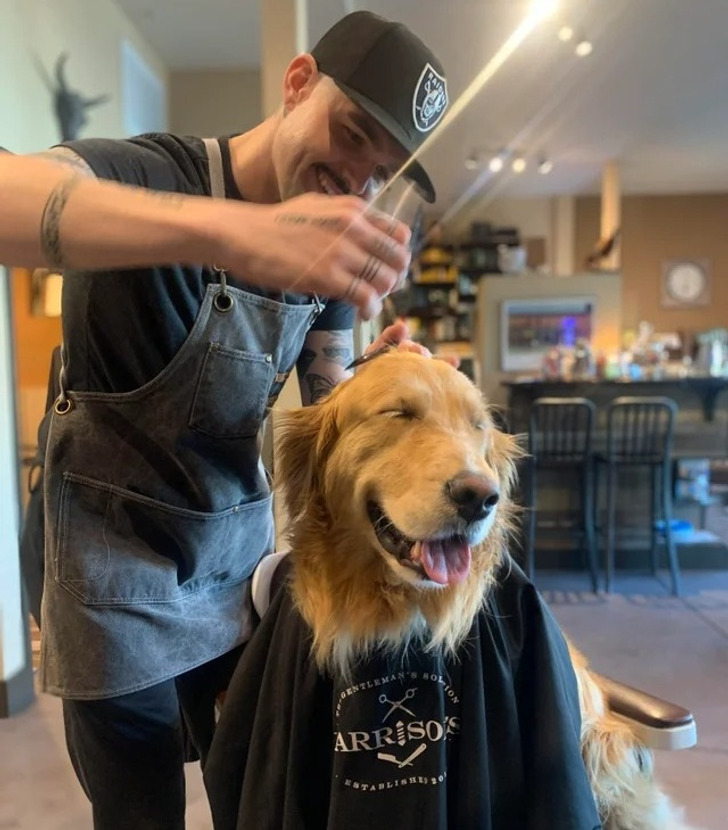 3b341f517883ea2f1e990180fb