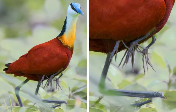 3b37aa5da38ff46e6ce36ab739