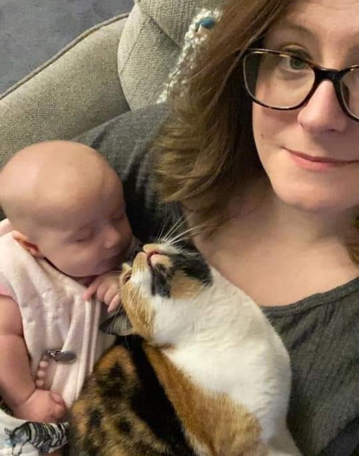 3b3bd15203b6e148b0f01e7af9 3b3bd15203b6e148b0f01e7af9