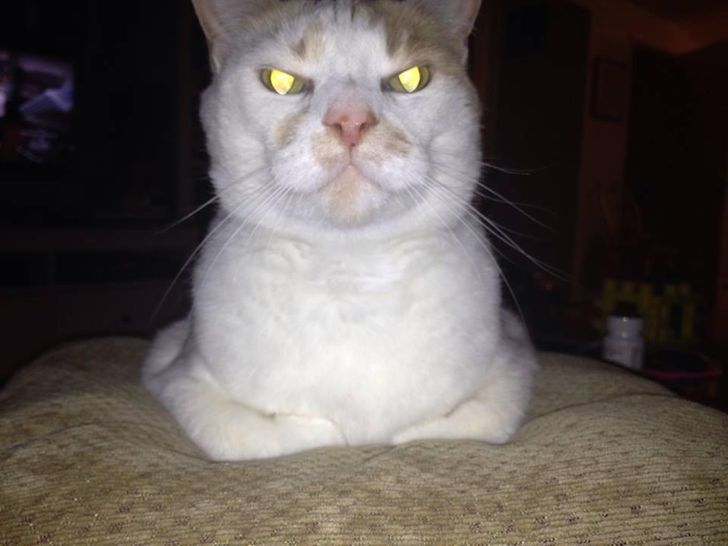 3b3f7b5727aebc0ce93e9b75d3