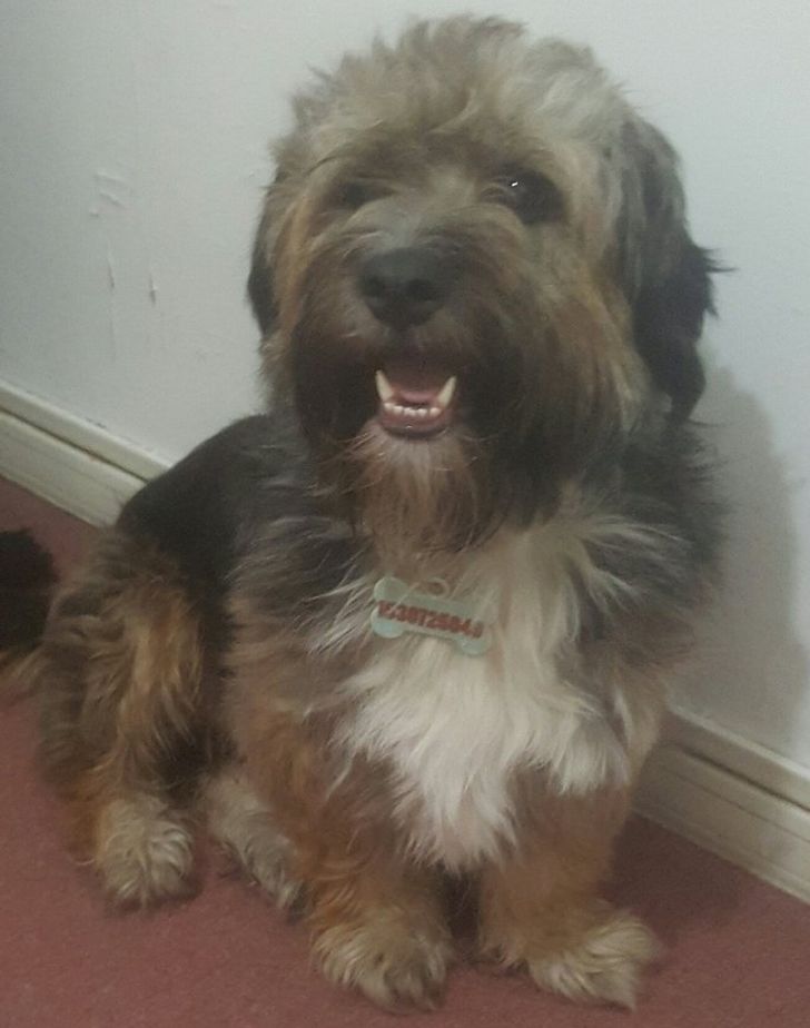 3b42f6508690929f2eb1ebdf36