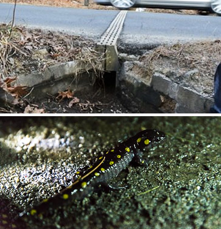 3b44d65da7a1f9c5499069185f