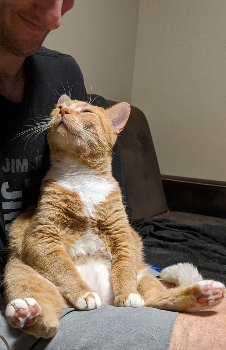 3b4a5a50179786c3ce69ac1f66