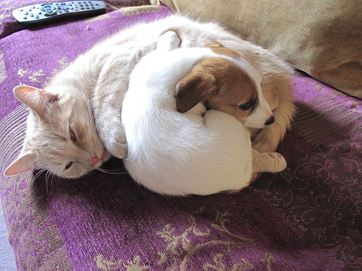 3b506c5e40879b1f0b3ae0cd2f