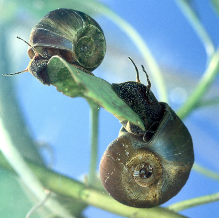 3b51575cddbde2c2db808d68cb