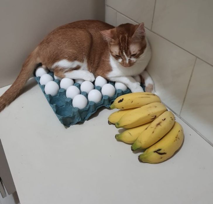 3b5bc6589d80fbd53b096e128b