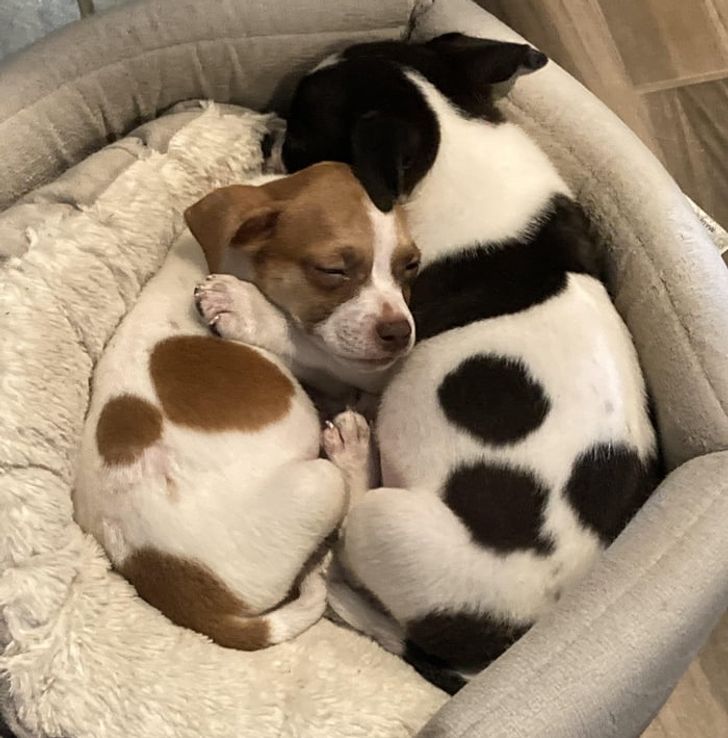 3b5d42598680aeb4e3231aca6a