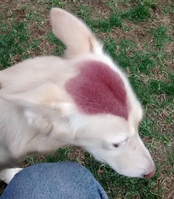 3b61b05c83869b72bce43a0ccf