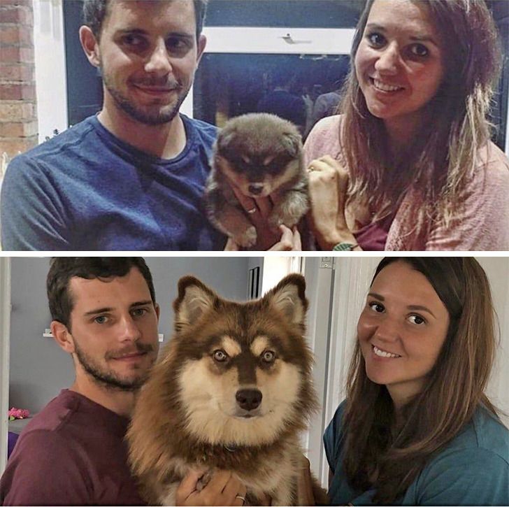 3b624053baa5445be4636bd26c