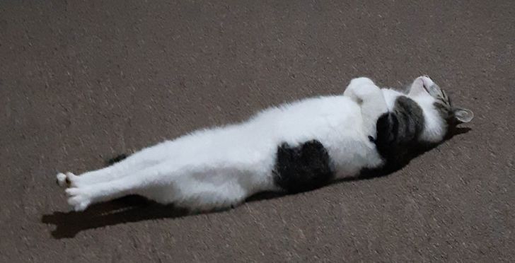 3b658f5f1293f670378e461eeb