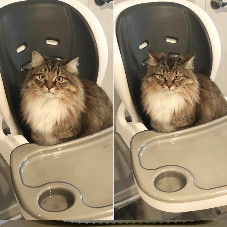 3b66915dffa4eeb352ac0a1f8f