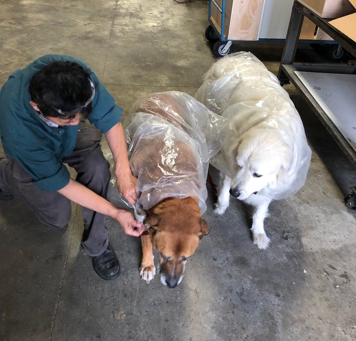 3b683f589194b69aebcea1340d