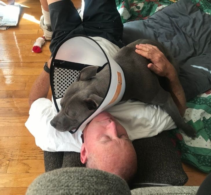 3b6de75d9c877fe0889cf9908b