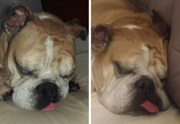 3b70a2564ebb81d31906caa54f