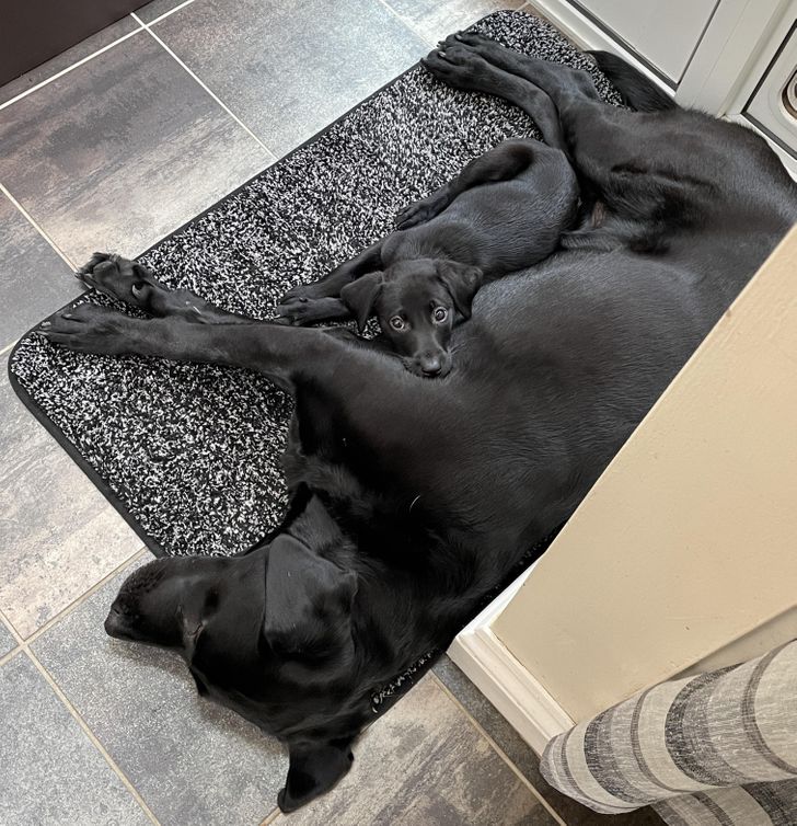 3b76855b7095afed71d5b750ab