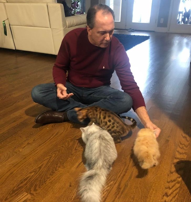 3b79e15a59a07efec5eb3baa8f