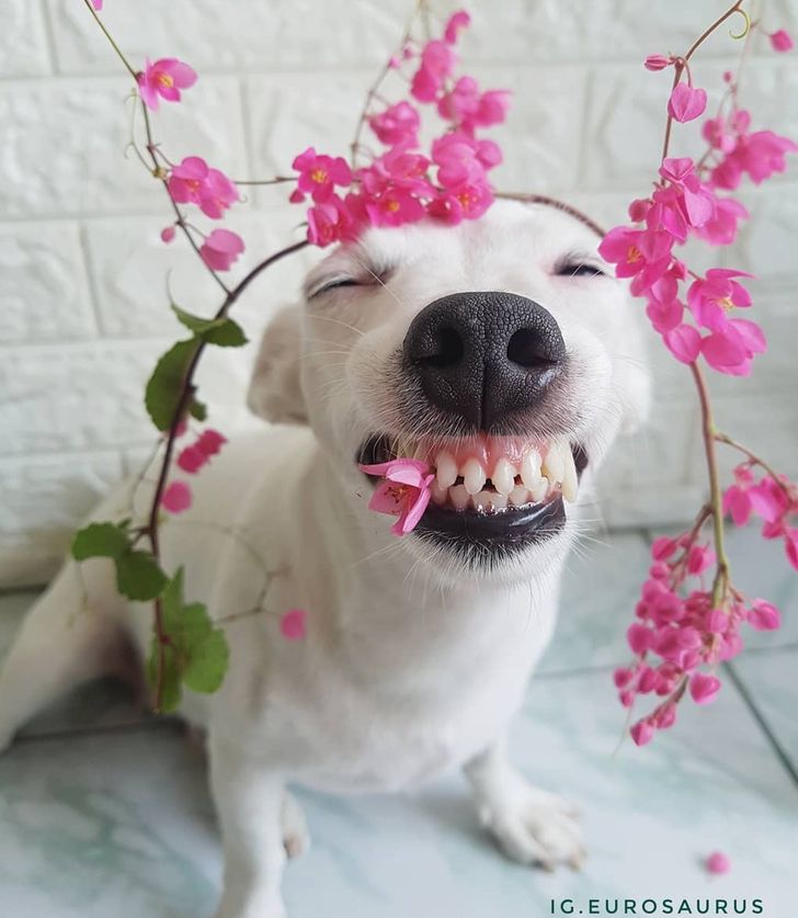 3b940754b88b4d8d9716174033