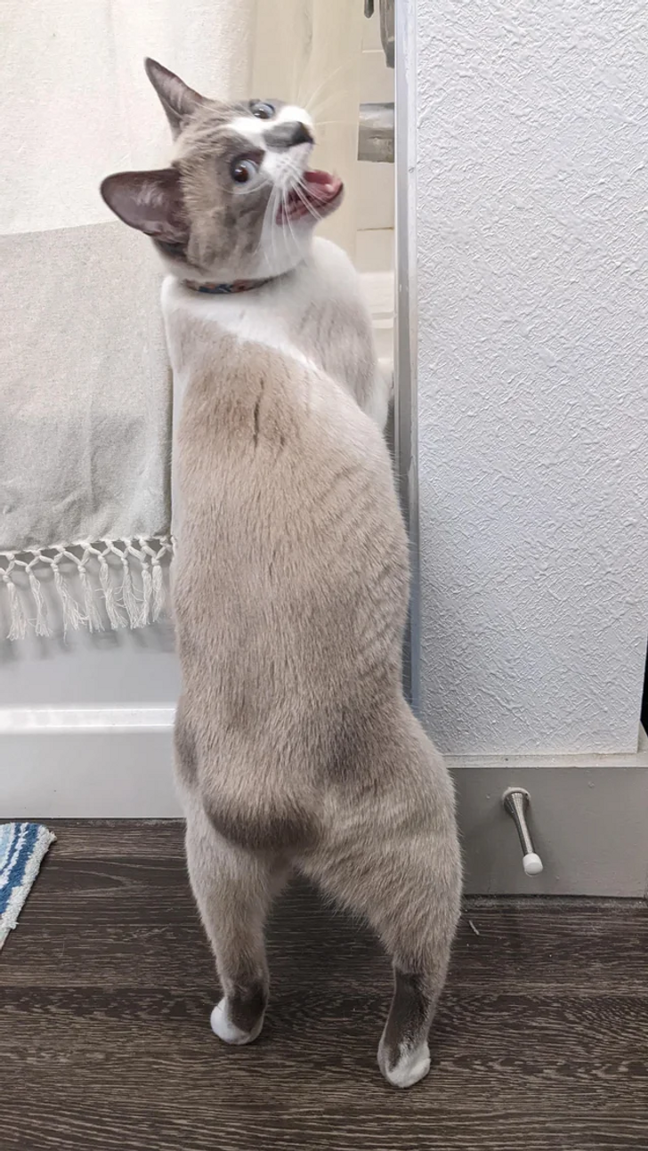 3b9cd15332a84571df425c5b0b