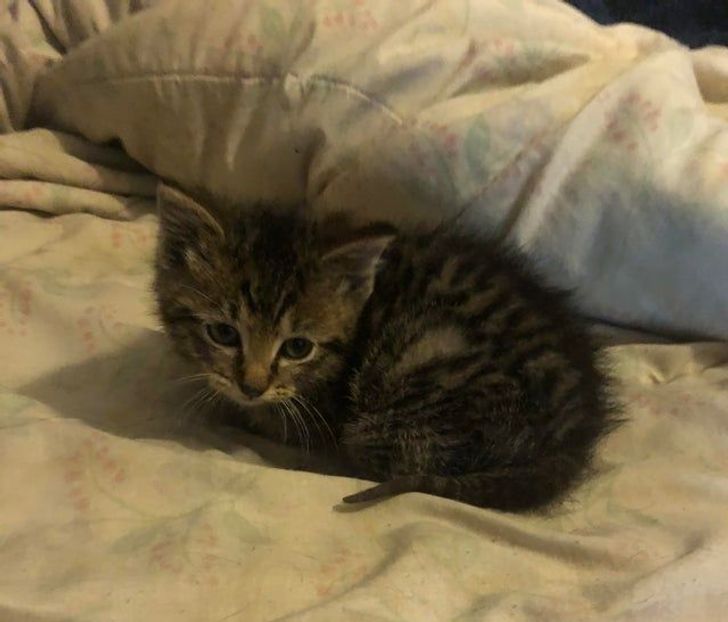 3b9e19563f92716d234fccb82f