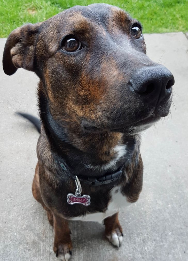 3ba6615b6fa7a18f7ecbaef0e2