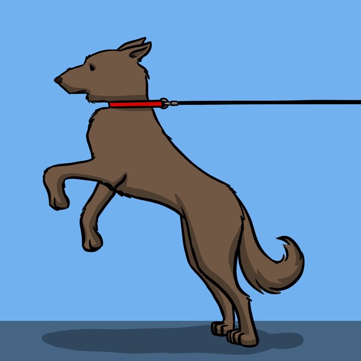 3ba7955774a992ab3491f94a96