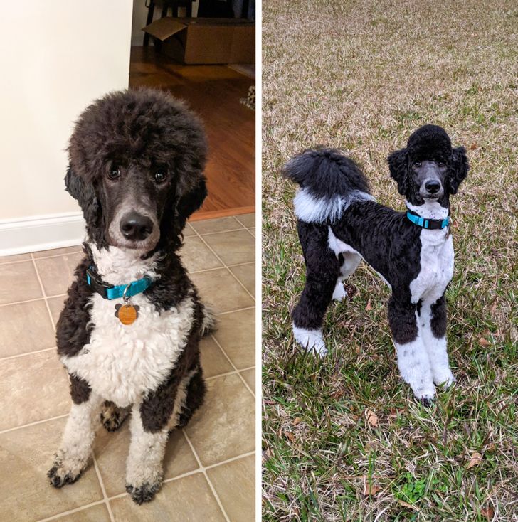 3ba9c950d9b5d8e0affddfe2e3