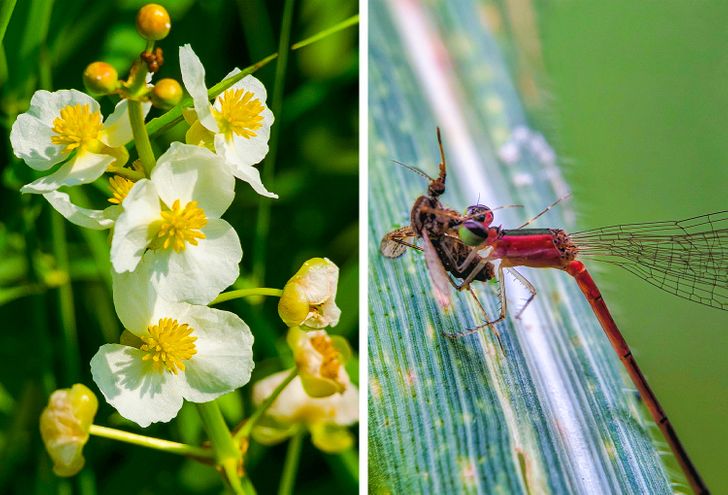 3bae3e5405b91cdc9d499a084d