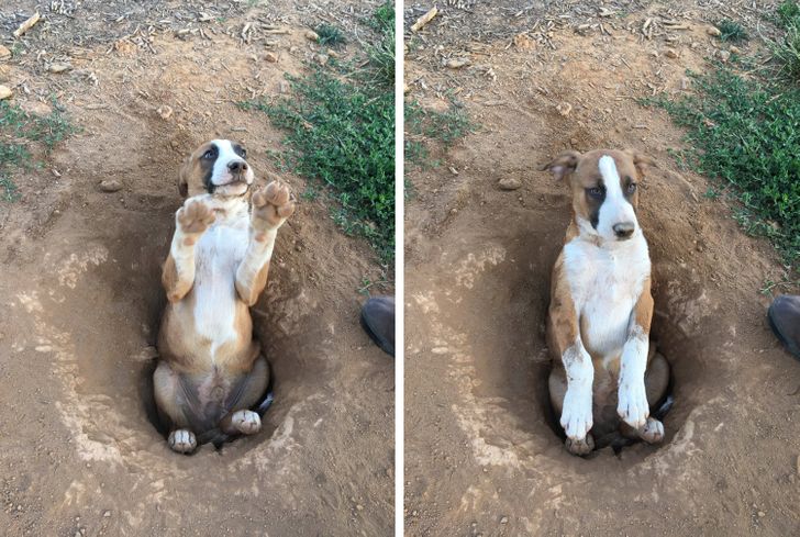 3bb6275002848ae72cc28412f6